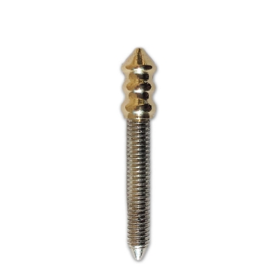 Silver contact screw